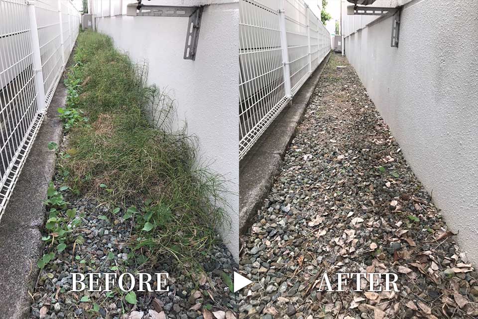 生方さんのお仕事その2:雑草掃除